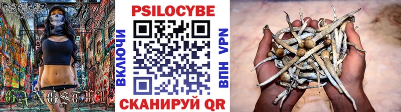 Псилоцибиновые грибы GOLDEN TEACHER  Луга 
