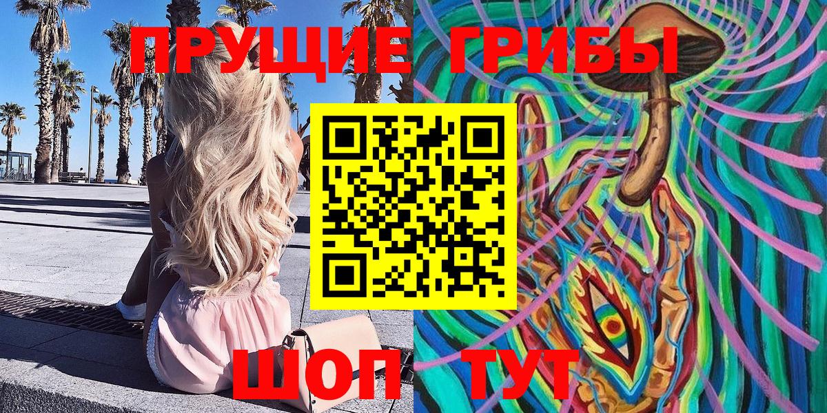 Галлюциногенные грибы GOLDEN TEACHER Луга