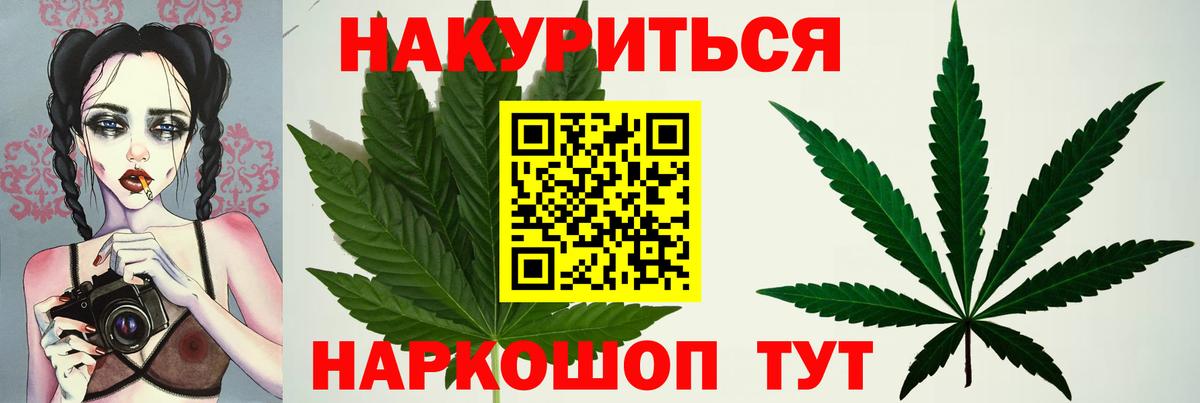 Каннабис OG Kush Луга